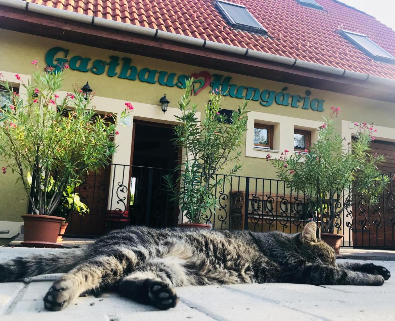 Hungaria Vendeghaz Hotel Eger Exterior photo